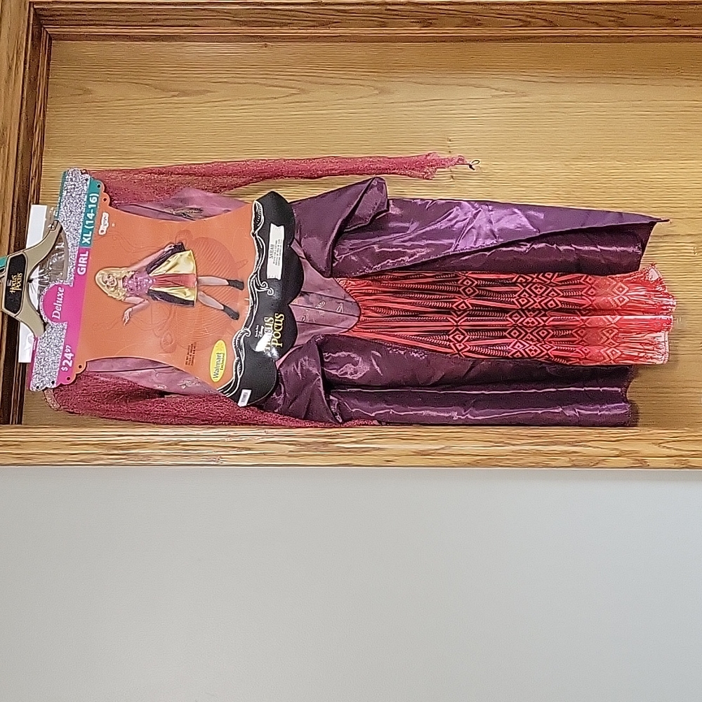 Hocus Pocus Sarah costume